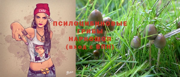 mix Белокуриха