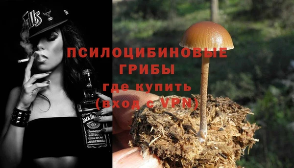 гидра Баксан